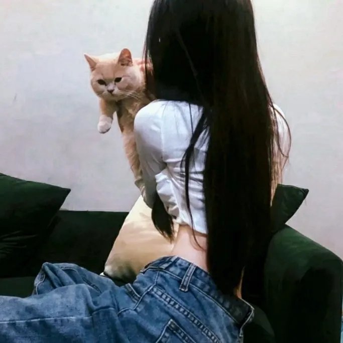 陷阱与钟摆